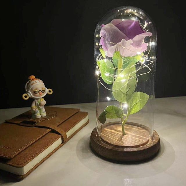 Led Rose Eternal Artificial Flower With Dome Fairy String Lights
