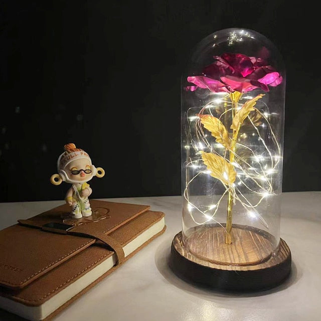 Led Rose Eternal Artificial Flower With Dome Fairy String Lights