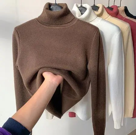 Solid Color Turtleneck